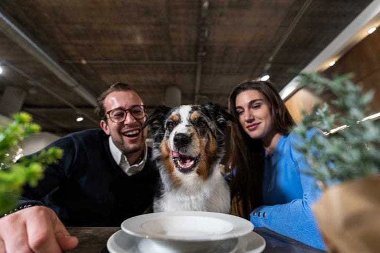 Werbebild von Möbelbeck. Pärchen mit Hund am Esstisch.