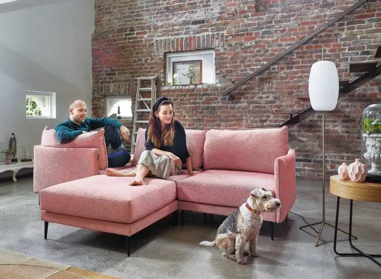 Foto eines großen Raumes mit Fokus auf eine freistehende roßéfarbene Couch, auf der ein Pärchen posiert und auf einen Hund schaut