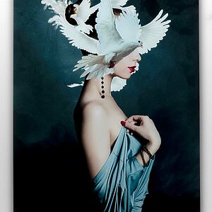 Glasbild Mother of Doves 80x120cm –